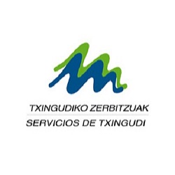 Servicios de Txingudi